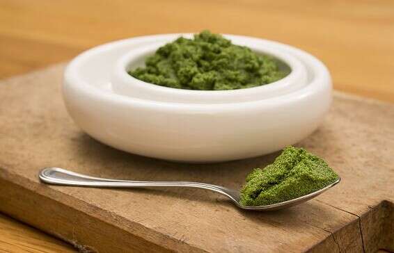 צמח המנקאי // צילום: שחר פליישמן